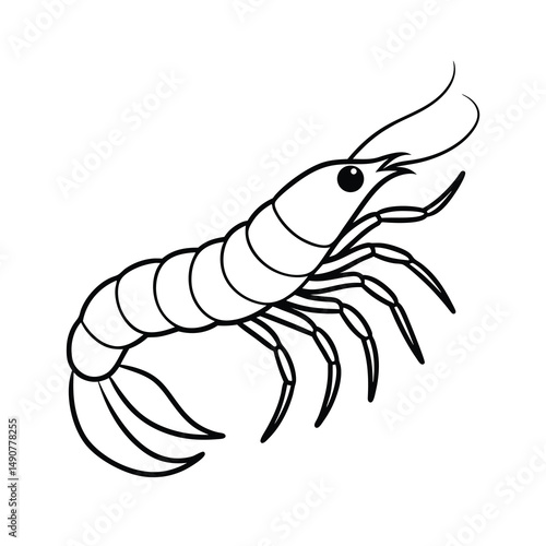 shrimp vector illustration