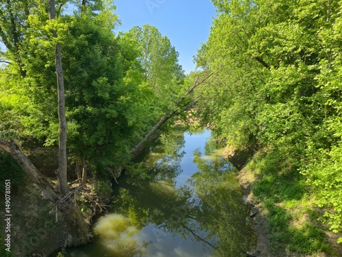 river in the forest,  Columbia, Missouri 