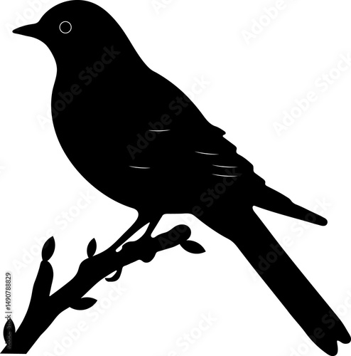 Black Bird silhouette illustration

