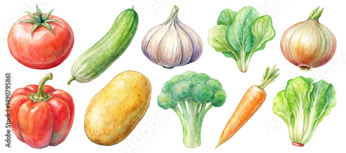 Watercolor Nutritious Colorful Garden Vegetables includings Onion, Red Bell Pepper, Potato, Broccoli, Carrot, Cabbage, Tomato, Cucumber, Garlic set png