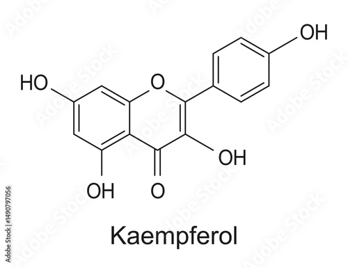 Kaempferol molecule structure, vector chemical formula