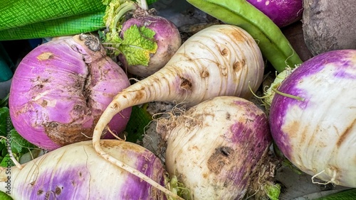 Earthy turnips in whimsical disarray, roots' rustic charm, celebrating National Roots Day and Celtic Samhain, harvest nostalgia