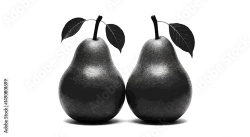 A Symmetrical Duo of Dark Pears with Intricate Textures