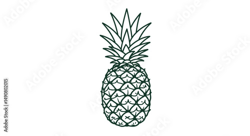 Simple Line Art Illustration of a Pineapple