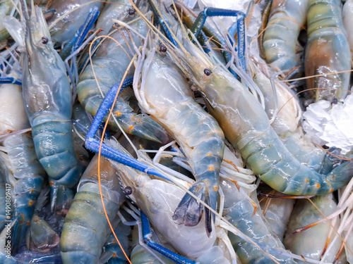 Fotografie Pile of fresh giant river prawns
