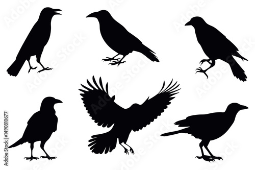 Wallpaper Mural a black and white silhouette of a crow perched Torontodigital.ca