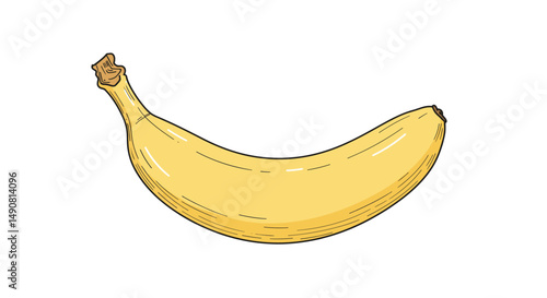 Single Ripe Banana Illustration with Stem Detail