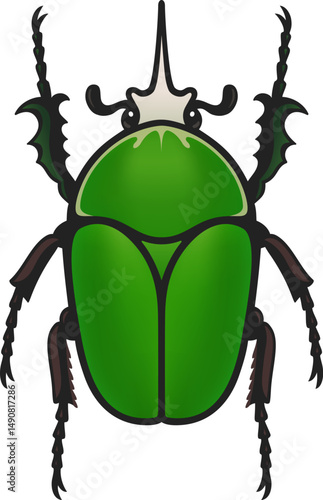 Mecynorhina torquata, Giant Flower Beetle. Large green African Goliath beetle. Vector clip art illustration isolated on white background.