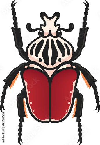 Goliath beetle, Goliathus goliatus, one of the largest insects. Vector clip art illustration isolated on white background.