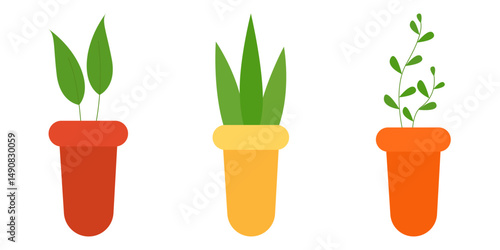 Set of three potted houseplants in different colors.