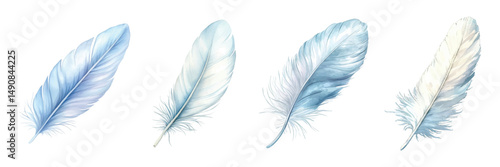 Watercolor set of white feathers. White bird feathers close-up on isolated background. Detailed fluffy bird plume. Vector illustration.