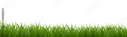 Green Grass Border Isolated White