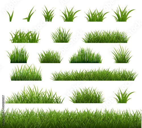 Spring Green Grass Transparent Background