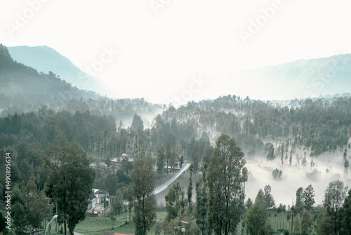 Scenic Landscape of a Mountain Road Surrounded by Pine Trees with a Jeep Driving Through the Forest Area of Mount Bromo in East Java Indonesia