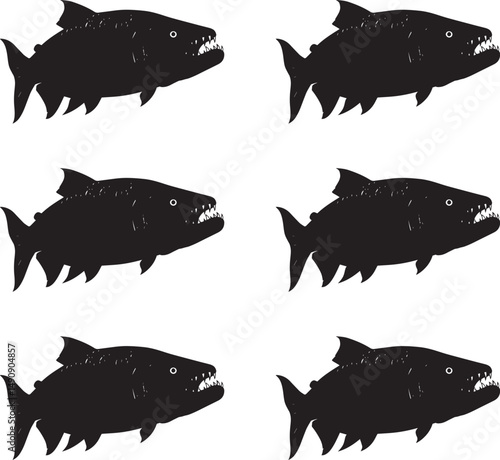 Vector illustration. Geometric silhouette Goliath fish on white background. 