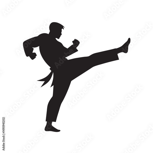Karate Fighter High Kick Silhouette