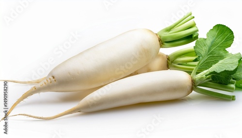 white radish vegetable fresh food isolated on a white background