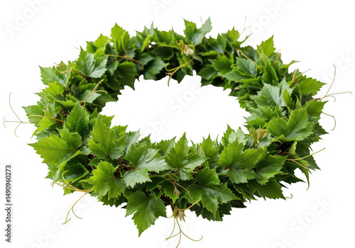 Green leaves wreath vector isolated on transparent background