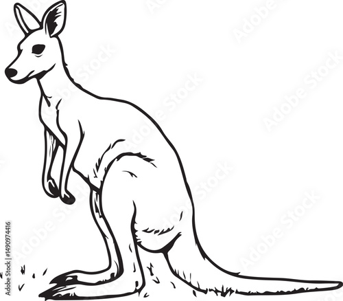 Wallaby Kangaroo Black and White Vector Illustration, Sketch Drawing Line Linear Symbol Icon Engraving, Hand-drawn Isolated