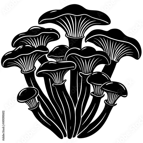 mushrooms on black background