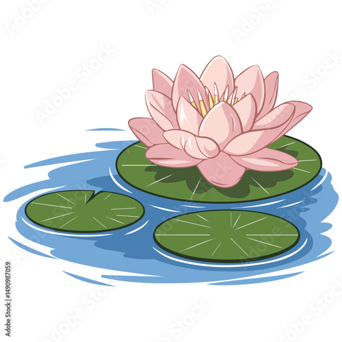 water lily isolated vector illustration
