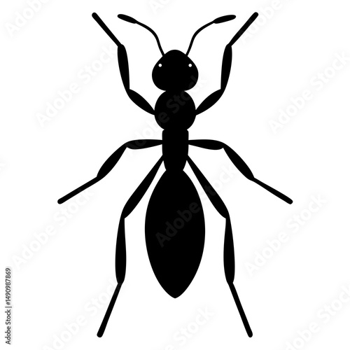 Black Ant Silhouette Illustration Top View