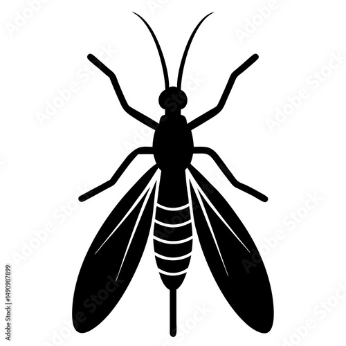 Black and White Silhouette of a Mosquito Insect