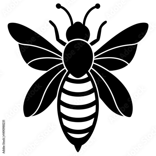 Simple Black and White Honeybee Illustration