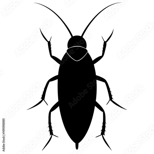 Black Silhouette of a Cockroach Insect Illustration