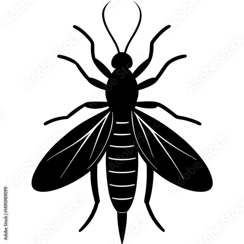 Black Silhouette of a Mosquito or Similar Insect