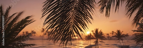 Elegant palm leaf silhouettes against a sunset backdrop ,  beach,  summer,  plant