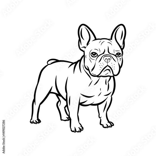 standing dog vector photo and logo animal wallpaper jpg . black and white dog icon theme.