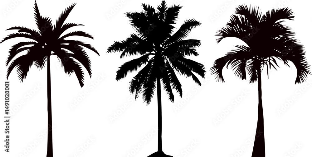 Obraz premium palm trees silhouette on white background, vector