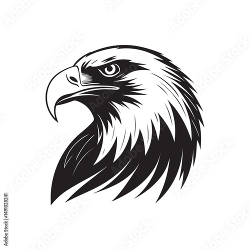 detailed high-contrast line art illustration of an eagle's head, bold sharp feathers, piercing predatory eyes, powerful beak, monochrome black and white
