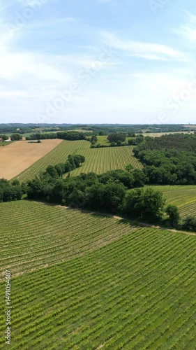 Lente avancée sur le vignoble