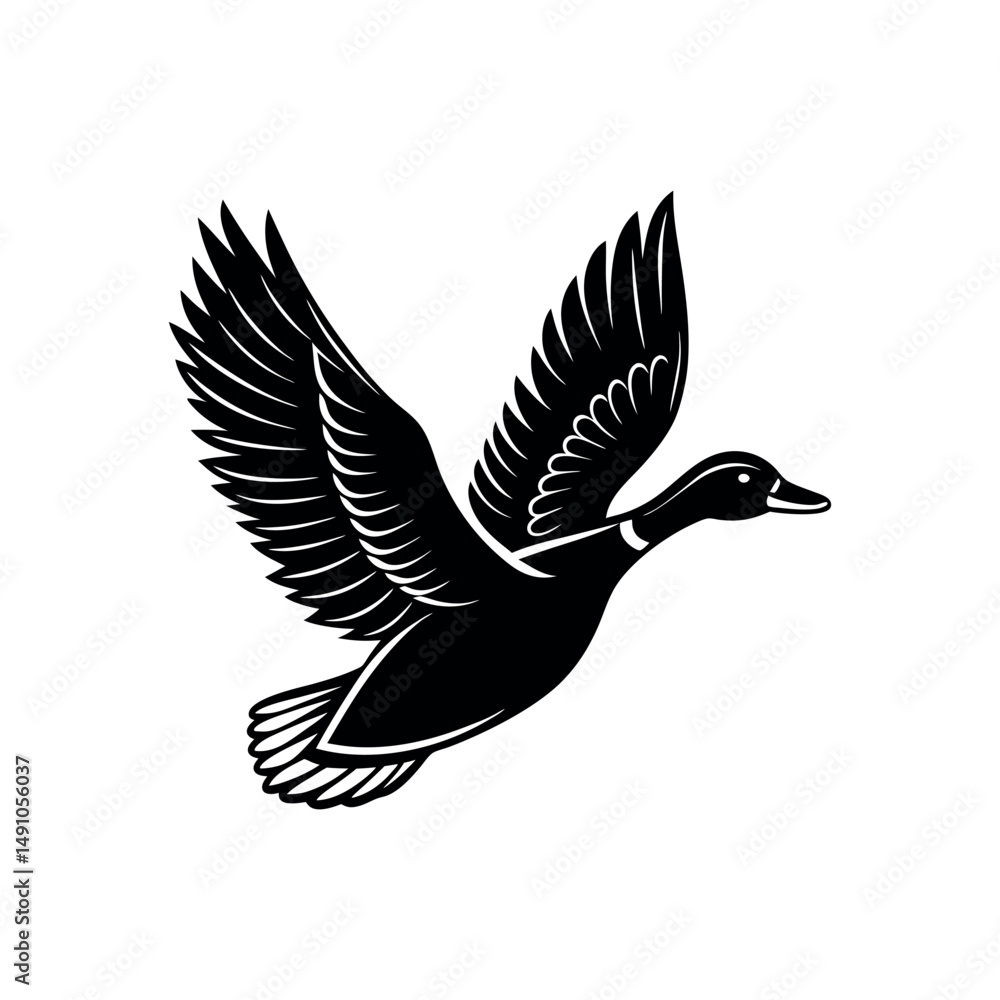 Fototapeta premium A duck is flying vector illustration of a flying bird