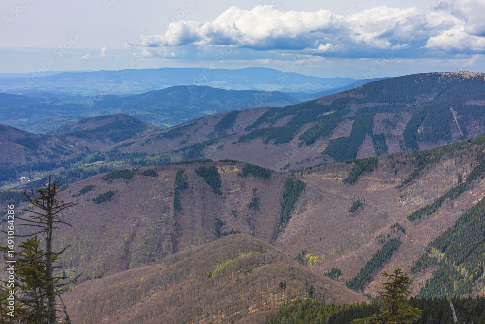 Obraz premium Spring in the mountains