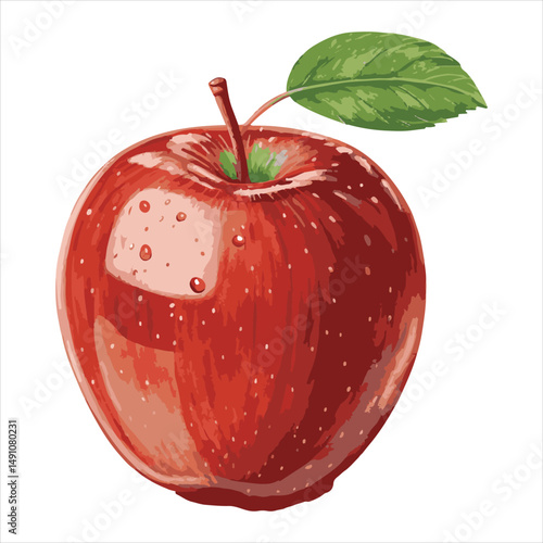 Apple  Vector