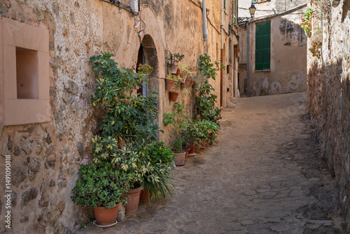 Alleyway of Life in sunny Spain