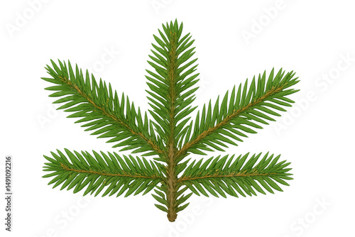 Realistic 3d rendering of a fir branch with transparent background, perfect for christmas or nature-themed projects