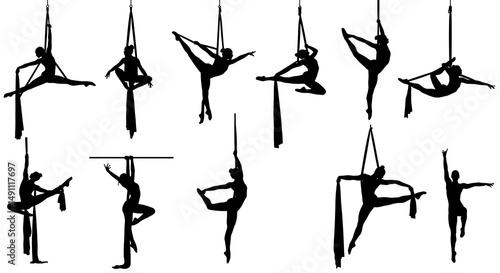Aerial Grace: Silhouette Series