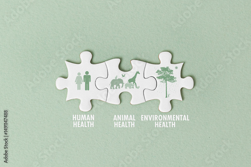 Jigsaw puzzle pieces on pale green background with icon represents the One Health concept, linking human, animal, environmental health. Ideal for awareness campaigns, educational, presentations