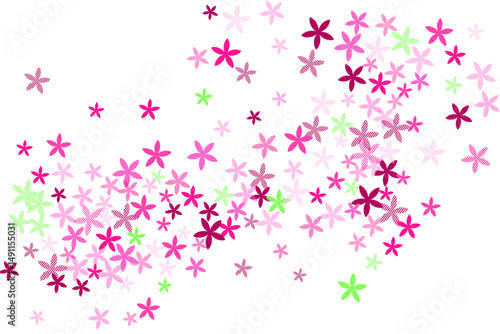 Ornithogalum abstract flowers vector illustration. Pretty meadow floral shape...