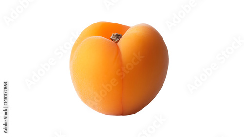 Wallpaper Mural Single apricot on a transparent background.
 Torontodigital.ca