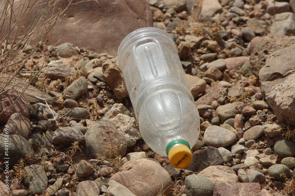 Obraz premium A single empty plastic bottle lying on the ground, Environmental pollution