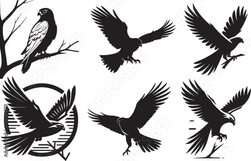 Three elegant black and white falcon silhouettes perched on branches