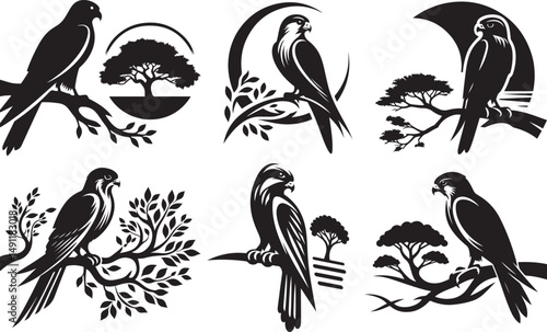 Three elegant black and white falcon silhouettes perched on branches