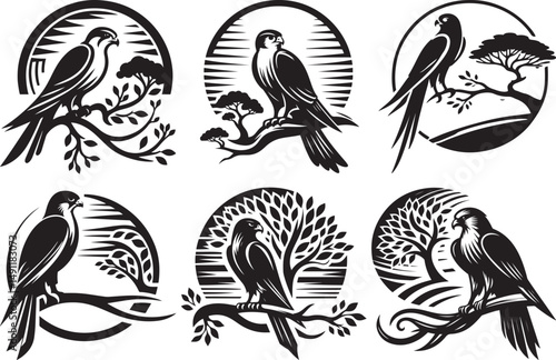 Three elegant black and white falcon silhouettes perched on branches