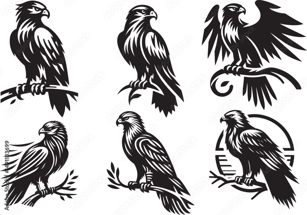 Fototapeta premium Six unique black and white hawk and eagle illustrations perched on branches