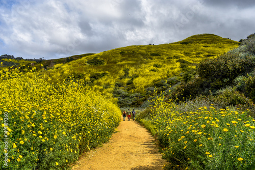Hiking Trail in Rancho Palos Verdes, California during wildflower bloom